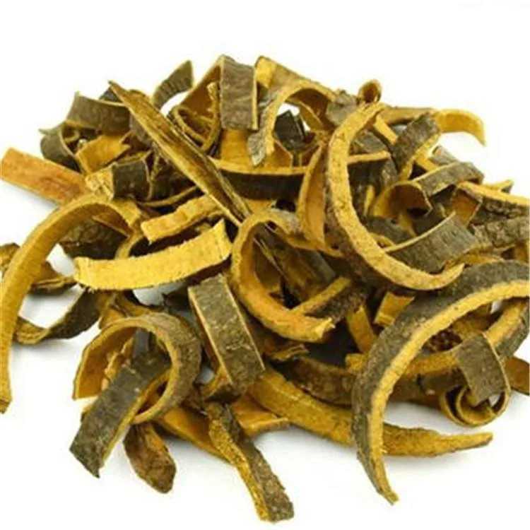 High quality/High cost performance  Huang Bai Traditional Chinese Herbal Medicine Golden Cypress