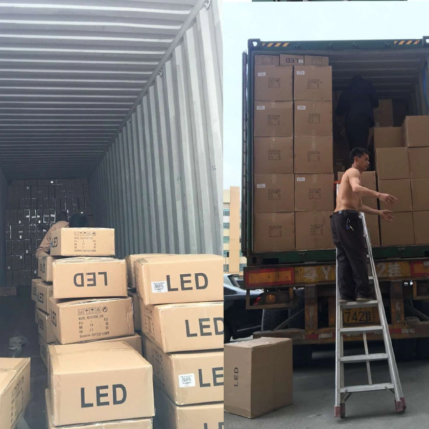 Cargo Packaging Service and Warehouse Transportation Shipping From China to Worldwide