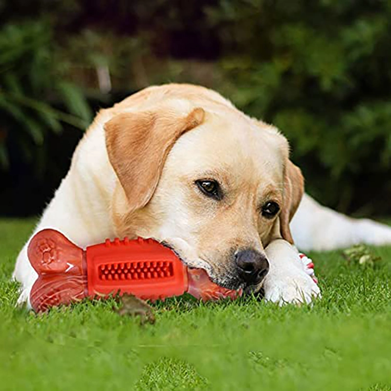 Morsure de chien jouet en plastique PET bille résistant à la couleur est disponible