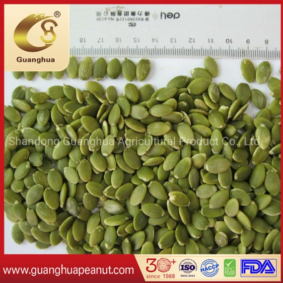 Hot Sale Shine Skin Pumpkin Seed Kernels