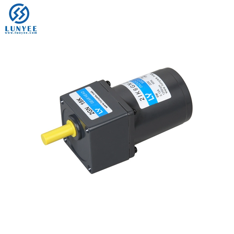 220V AC Motor 15W High Torque Micro Speed Control Motor