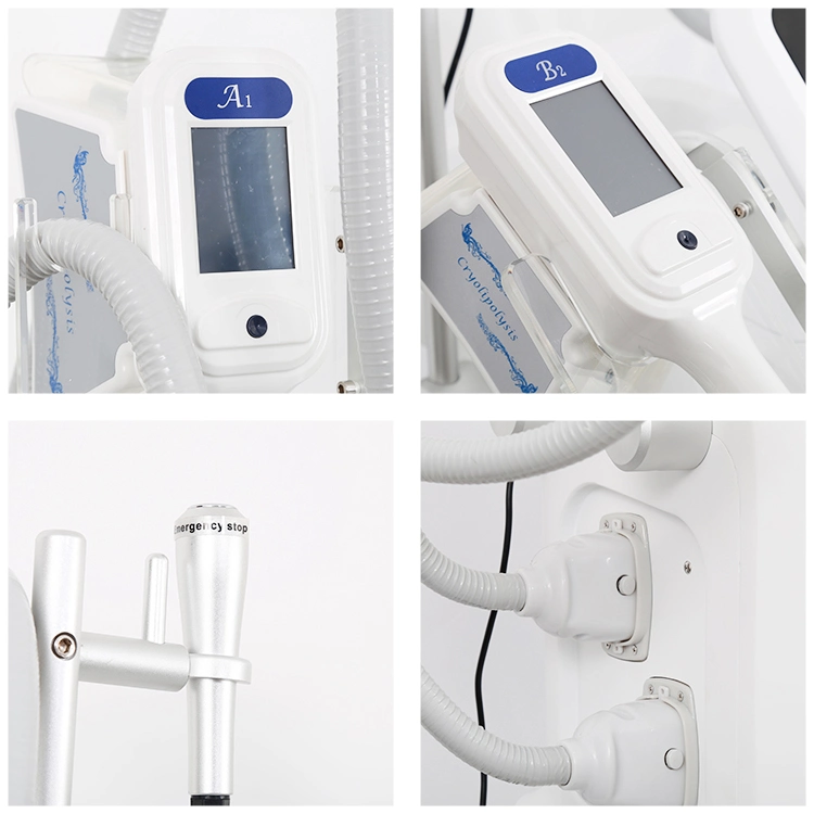 Max -15 graus Celsius Fat congelamento a perda de peso do equipamento de emagrecimento e Dispositivo Cryolipolysis Cool Shape