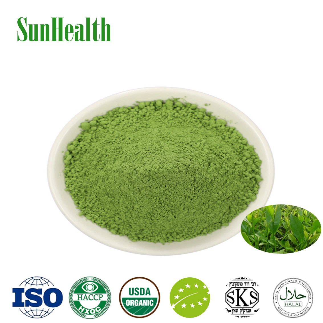 High Quality Green Tea Organic Matcha Powder