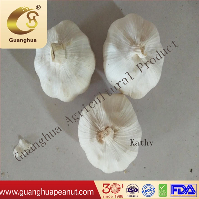 Organic Pure White Fresh Color High quality/High cost performance 