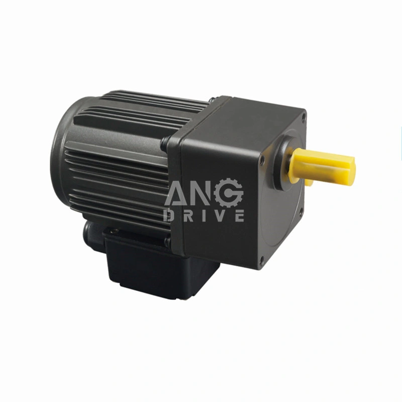 6W de alta calidad 10W 15W 25W 30W 40W 60W 90W 120W 250W 370W CA Control de velocidad de inducción eléctrica motorreductor