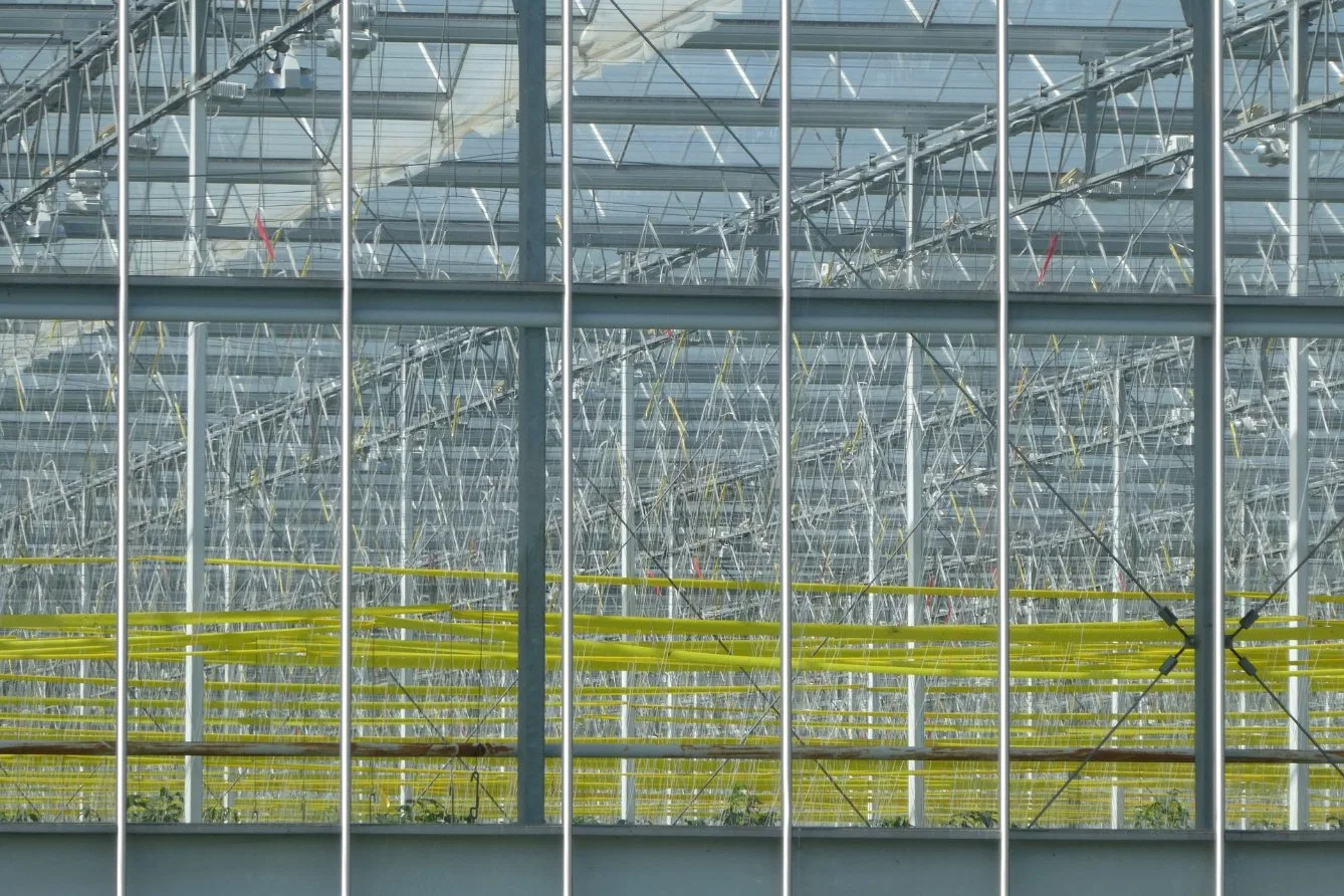 Bestes Produkt Glasshouse Container Farm Kommerzielle Glas Gewächshaus Heißer Verkauf