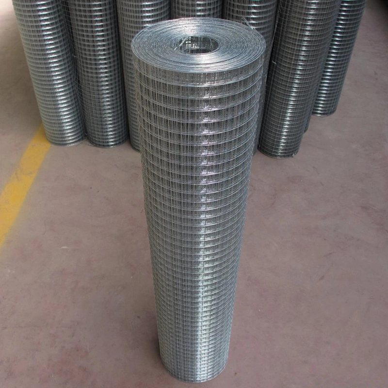 China Premium Hot Dipped Galvanised Metal Wire Mesh