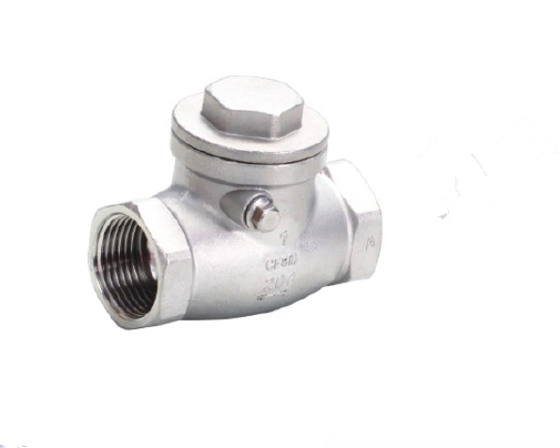 Water Treatment/Chemical Industry SS316 ANSI Flange Type Swing Check Valve