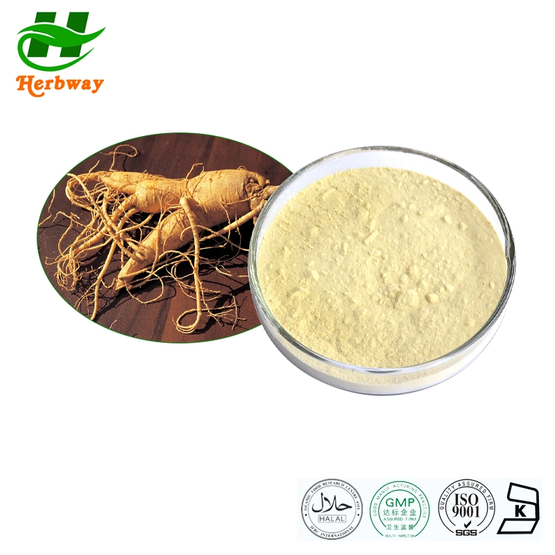 Herbway Plant Extract Improve Immunity Korean Red Ginseng Extract Powder for Health Supplement Ginseng Root Extract 80%Ginsenosides Panax Ginseng Extract