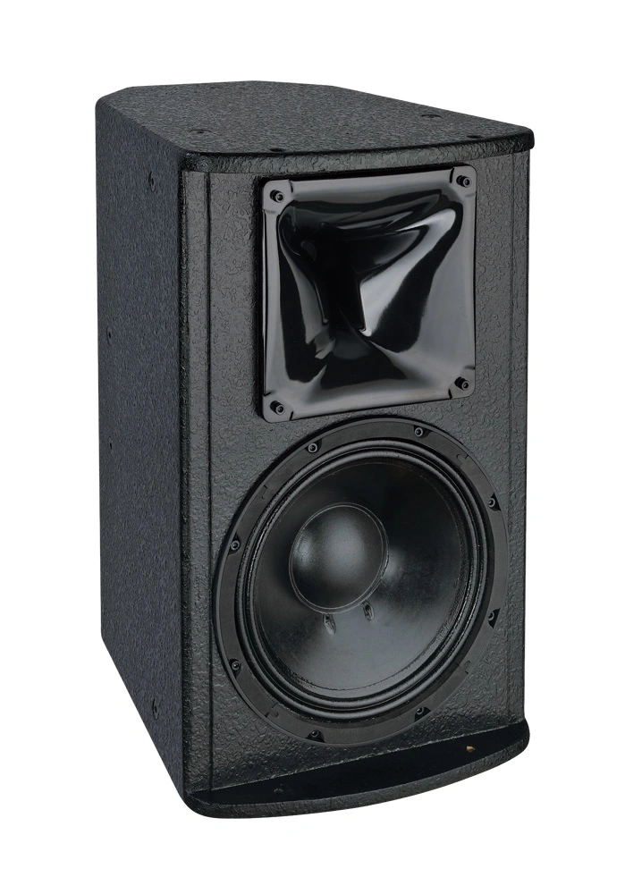 Professional Audio Loudspeakers 10 Inch Full Range Speaker