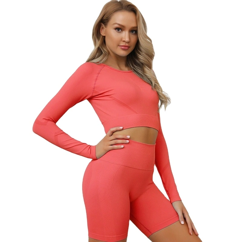 Women's Sports Long Sleeve Crop Top Seamless Leggings Set Gym Wear