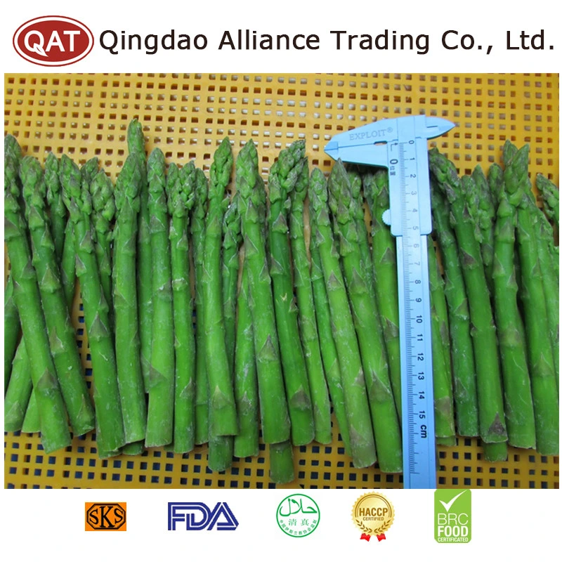 Good Price IQF Cut Asparagus Frozen Whole Green Asparagus with Brc ISO Certificates