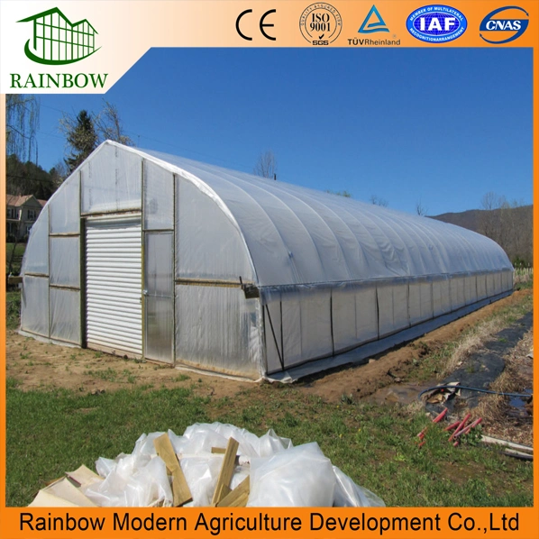 Agriculture Single Span Vegetable Greenhouse with Plastic Film