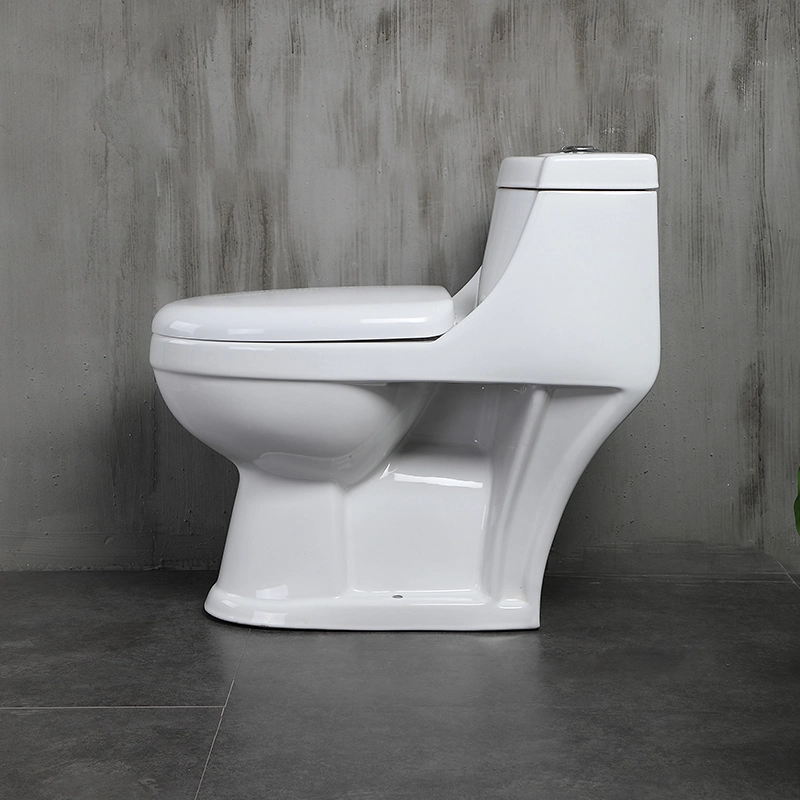 Cheap Price One Piece Ceramic Toilet with Big Outlet Hole