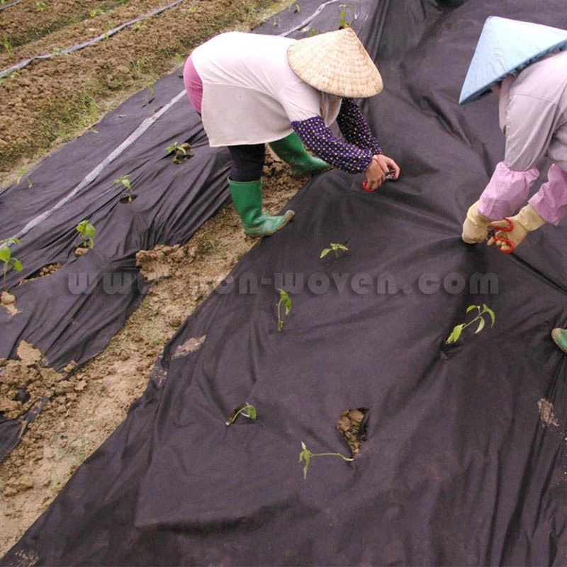 Weed Control Landscape Nonwoven Fabric