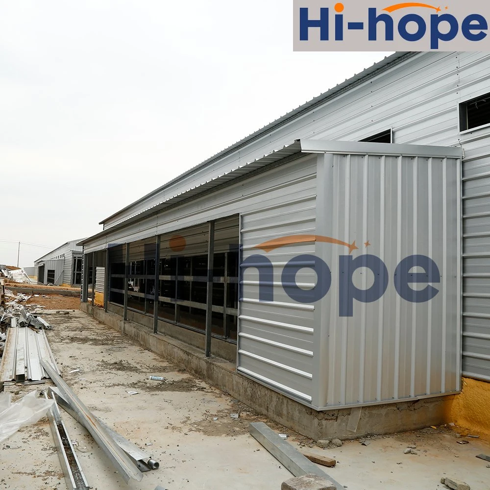 Livestock Cage, Chicken Farm House, Steel Structure Building