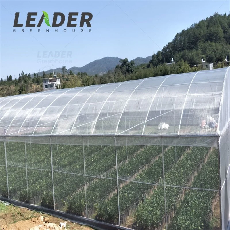 Custom HDPE Agricultural Mesh Vegetable Fruit Tree Anti Insect Net