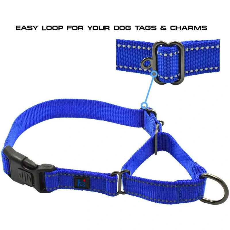 Custom Pet Care Reflective Easy Loop Martingale Dog Collar