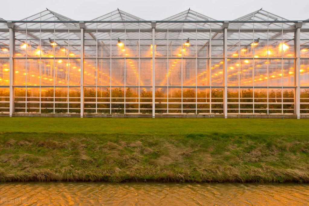 Perfect bonne qualité agricole Greenhouse tunnel Green House à vendre