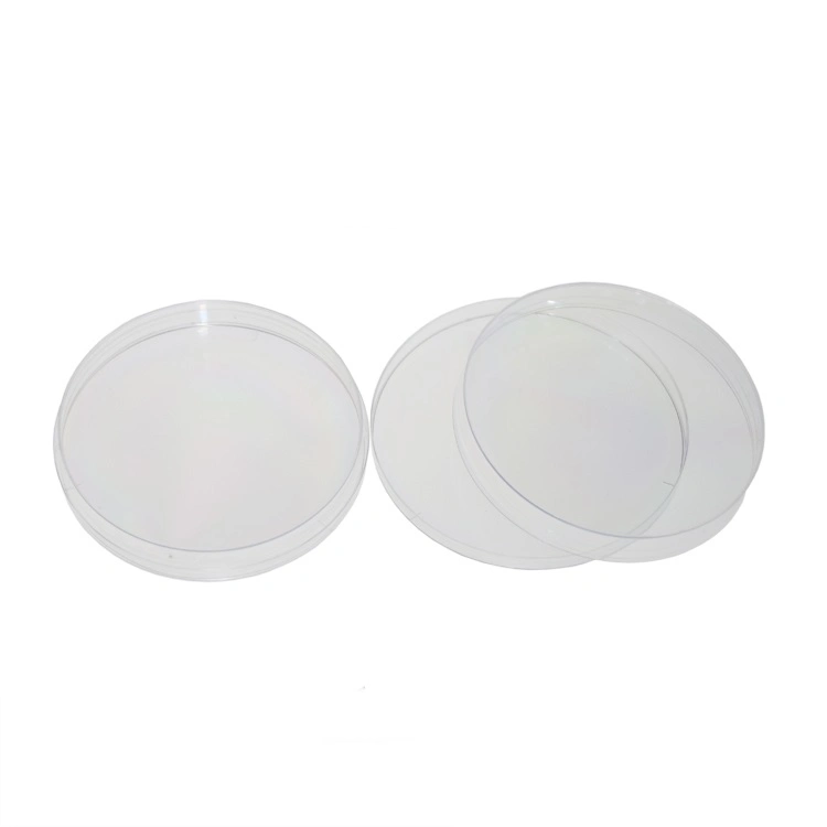 New Arrival Economical Transparent Disposable Petri Dish