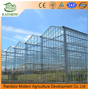 Venlo Agriculture Multi Span Hydroponic Tomato Glass Greenhouse