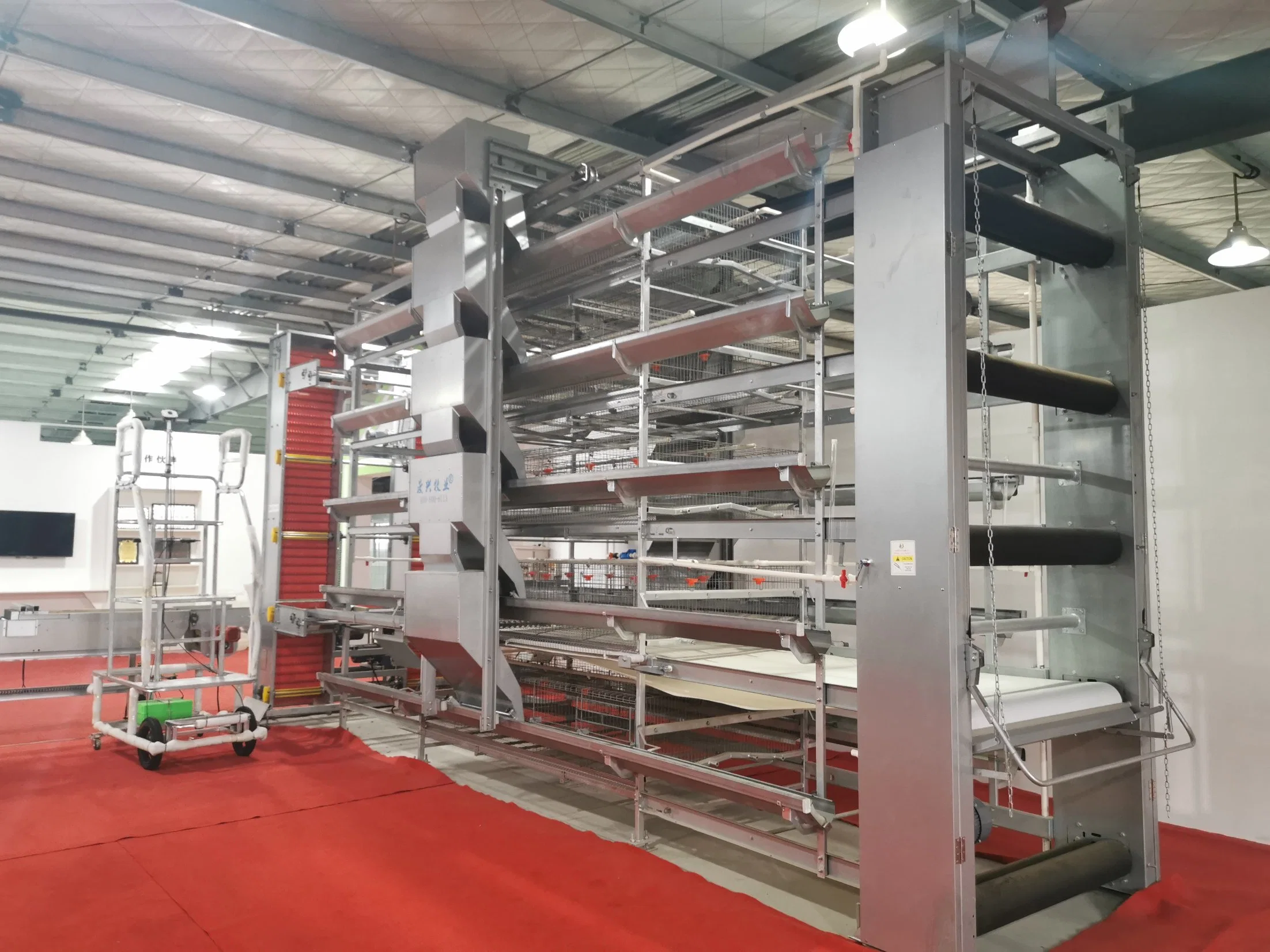 Automatic H Style Battery Layer Chicken Cage for Broilers/Laying Hens