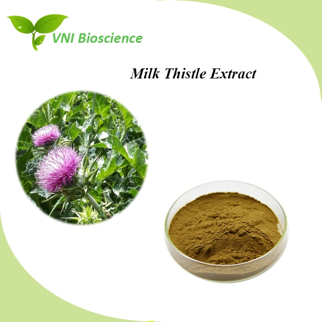 Органическое сертифицированное силимарин силибин молоко Thistle Extract