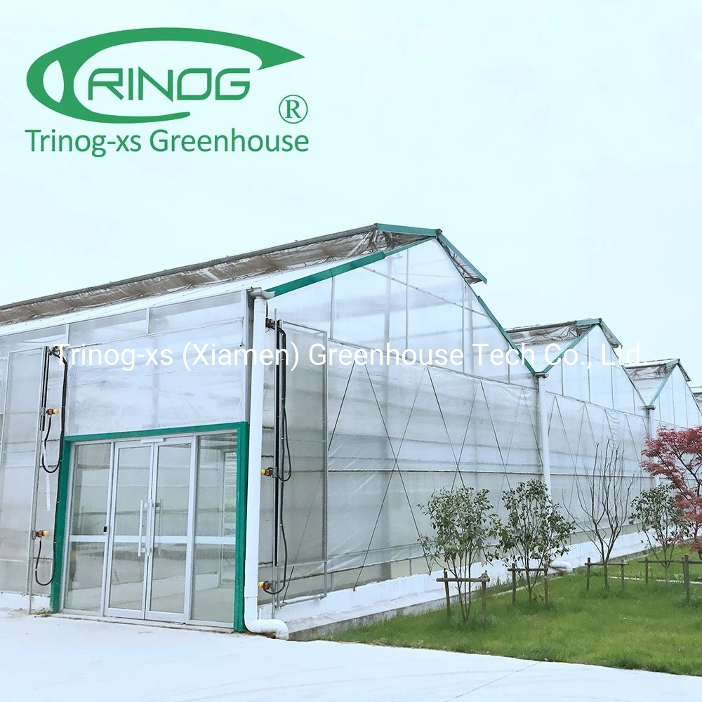 Single layer agriculture nursery Polycarbonate Greenhouse for Sale