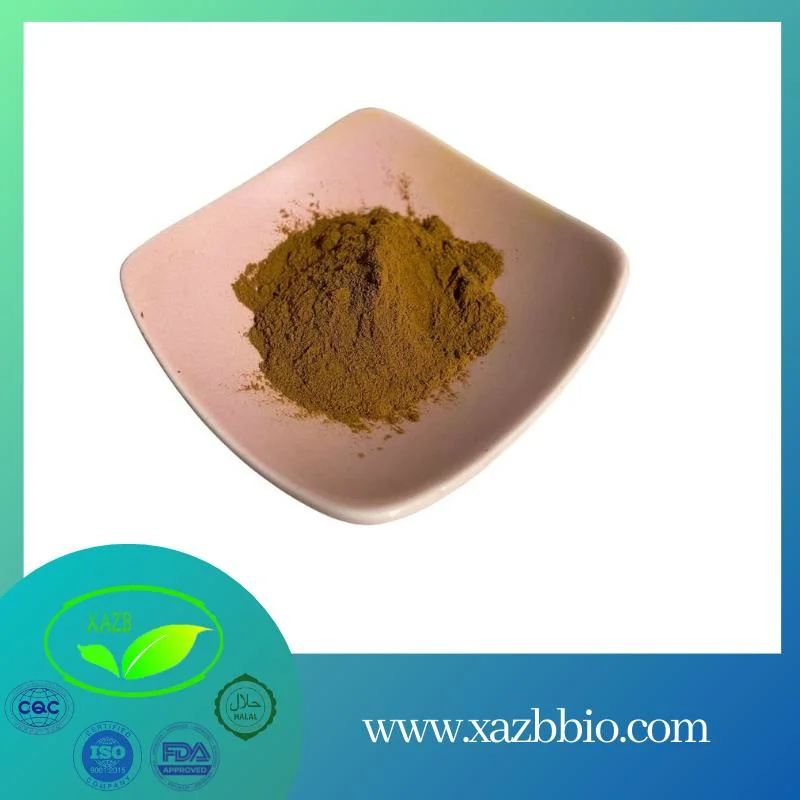 China Factory Supply Milk Thistle Extract Water Soluble Silymarin 40% Powder