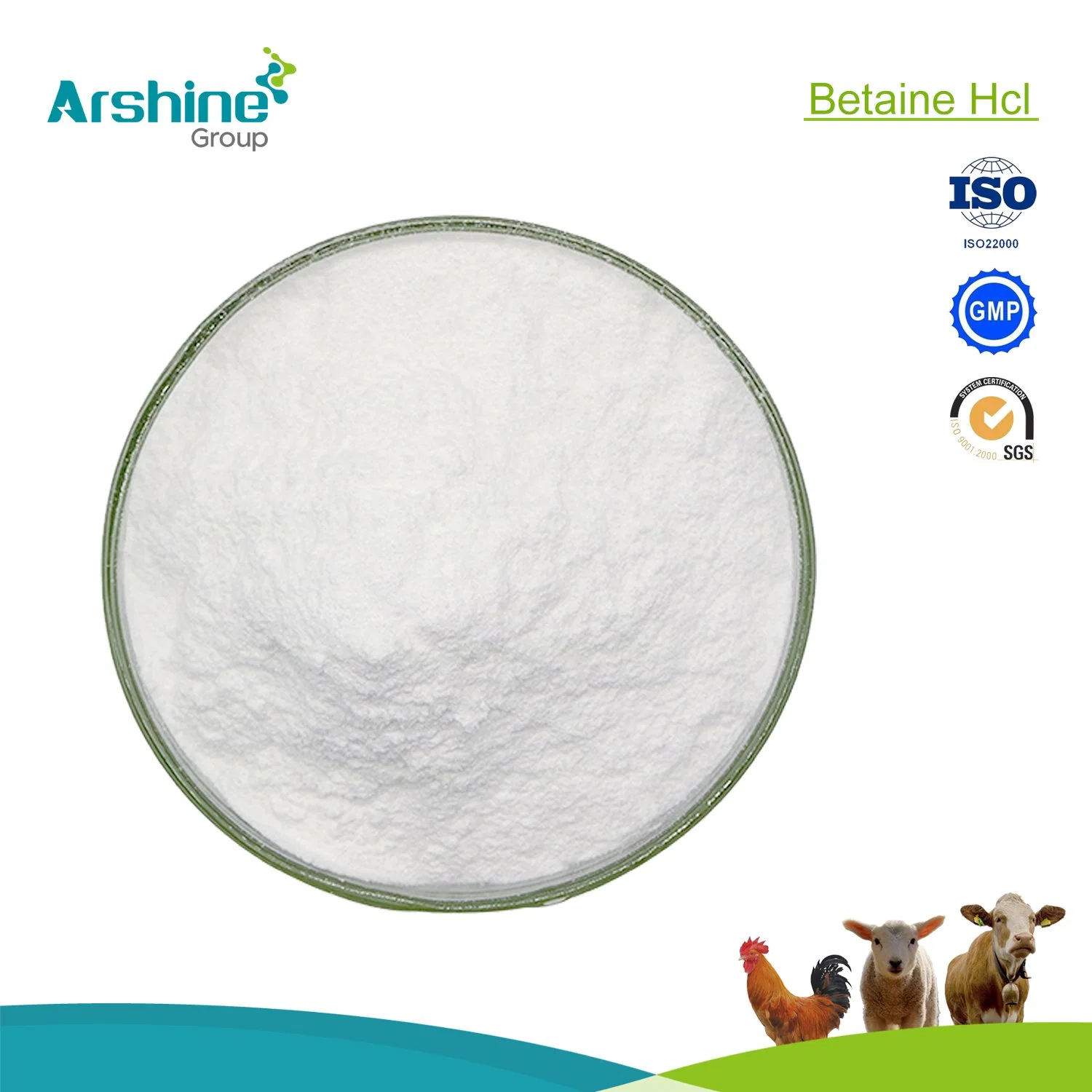 China Supply API Veterinary Medicine Raw Powder CAS590-46-5 Betaine HCl