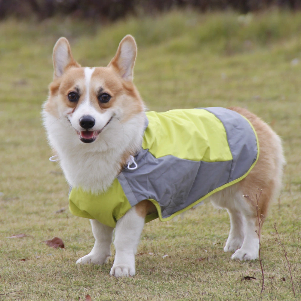 China Supplier Wholesale/Supplier Cat Raincoat Dog Windproof Jackets