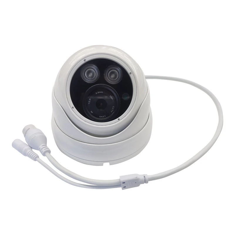 800TV Lines High Speed Dome Security Camera with CE FCC RoHS Certificates