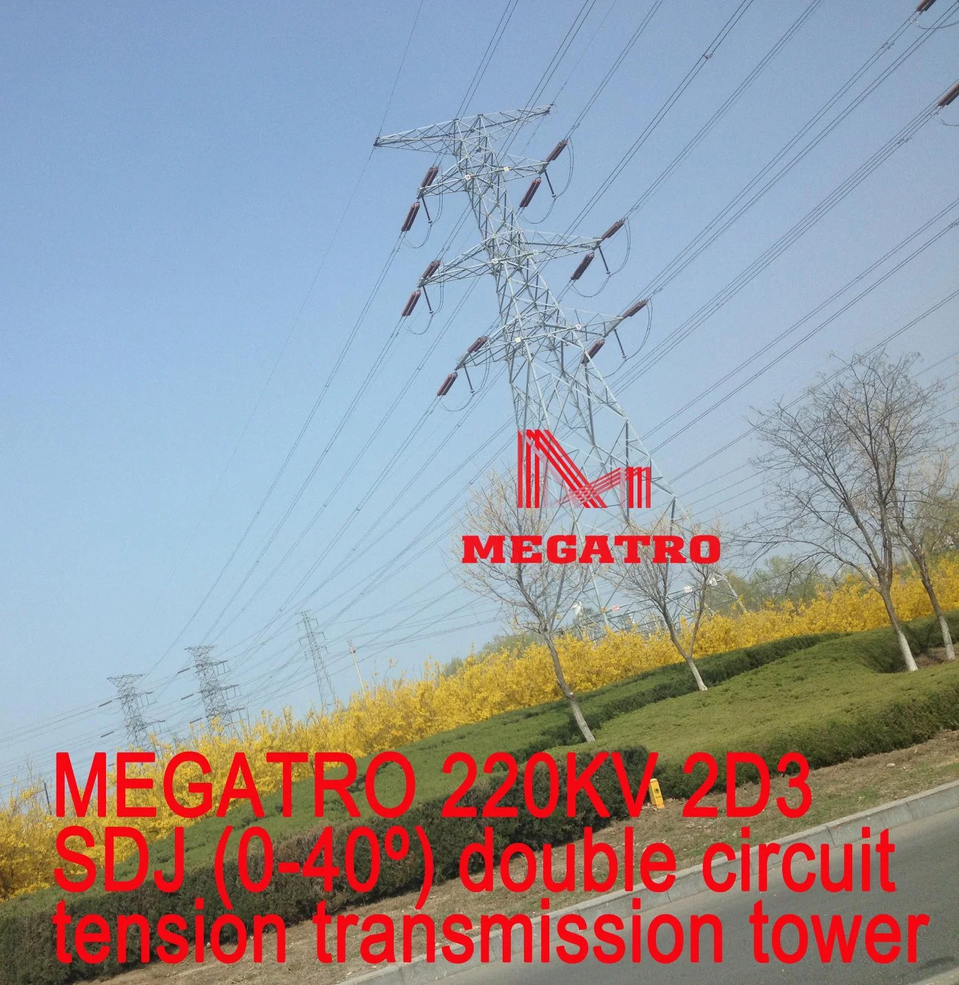 Megatro 220kv 2D3 Sdj Double Circuit Tension Transmission Tower