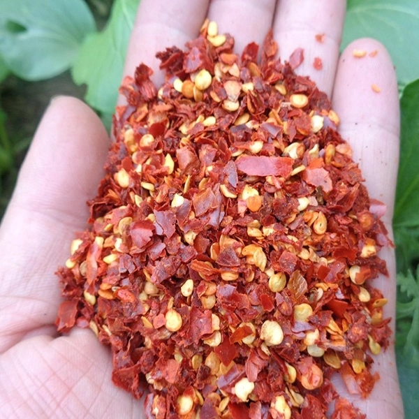 Organic Dried Red Chili Cut Chilli Ring Yidu Chotian Erjingtiao Xian Paprika Sweet Chili Factory Manufacturer Golden Supplier