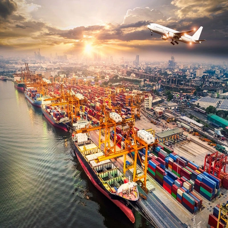 وكيل الشحن البحري الدولي في الصين من الباب إلى الباب لودر دبي أسعار الشحن البحري إلى الولايات المتحدة