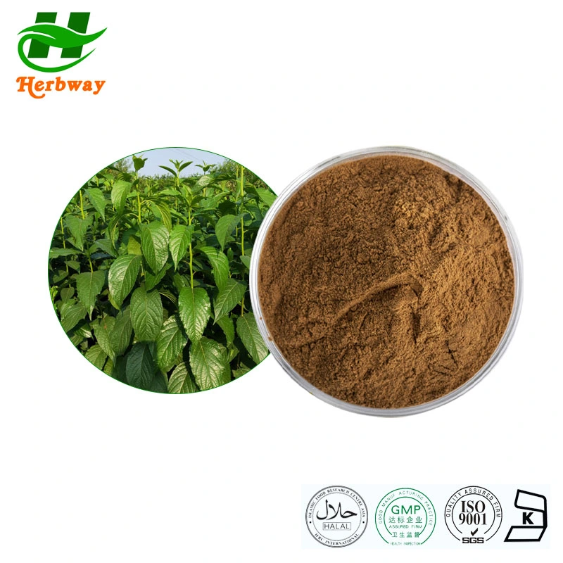 Herbway High Quality Kosher Halal Fssc HACCP Certified Eucommia Ulmoides Oliv Cortex Eucommiae Extract Powder