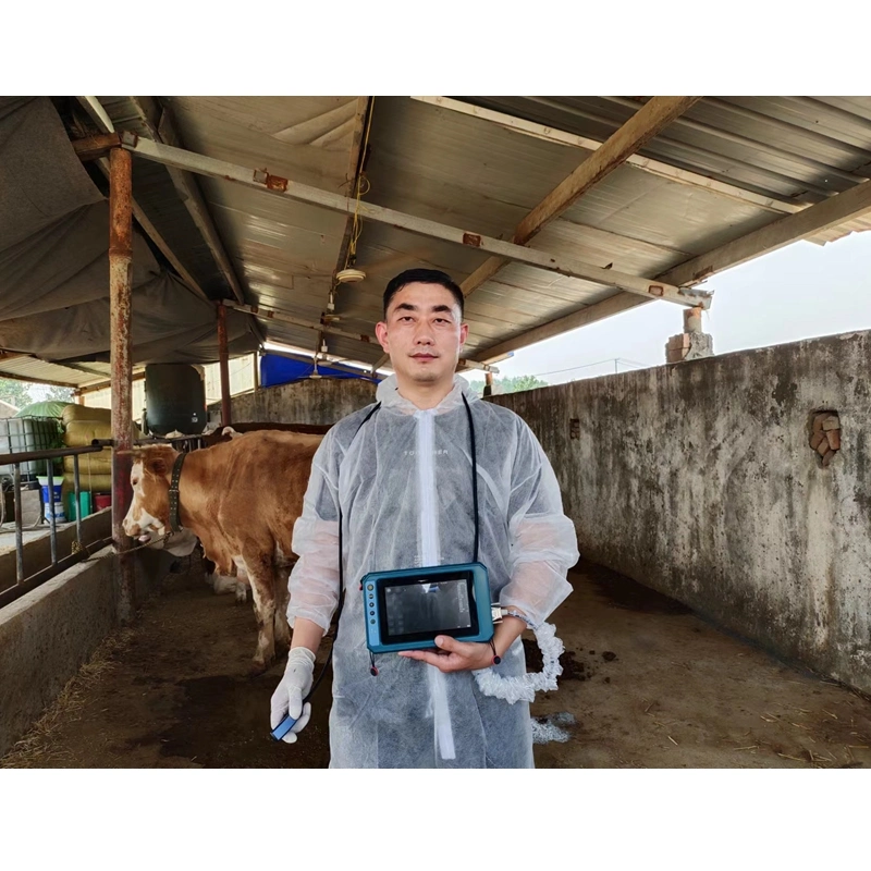 Farm Handheld Veterinary Ultrasound Equipment for Cattle/Large/Sheep Pregnancy Detection Veterinary Ultrasound Machine Scanner