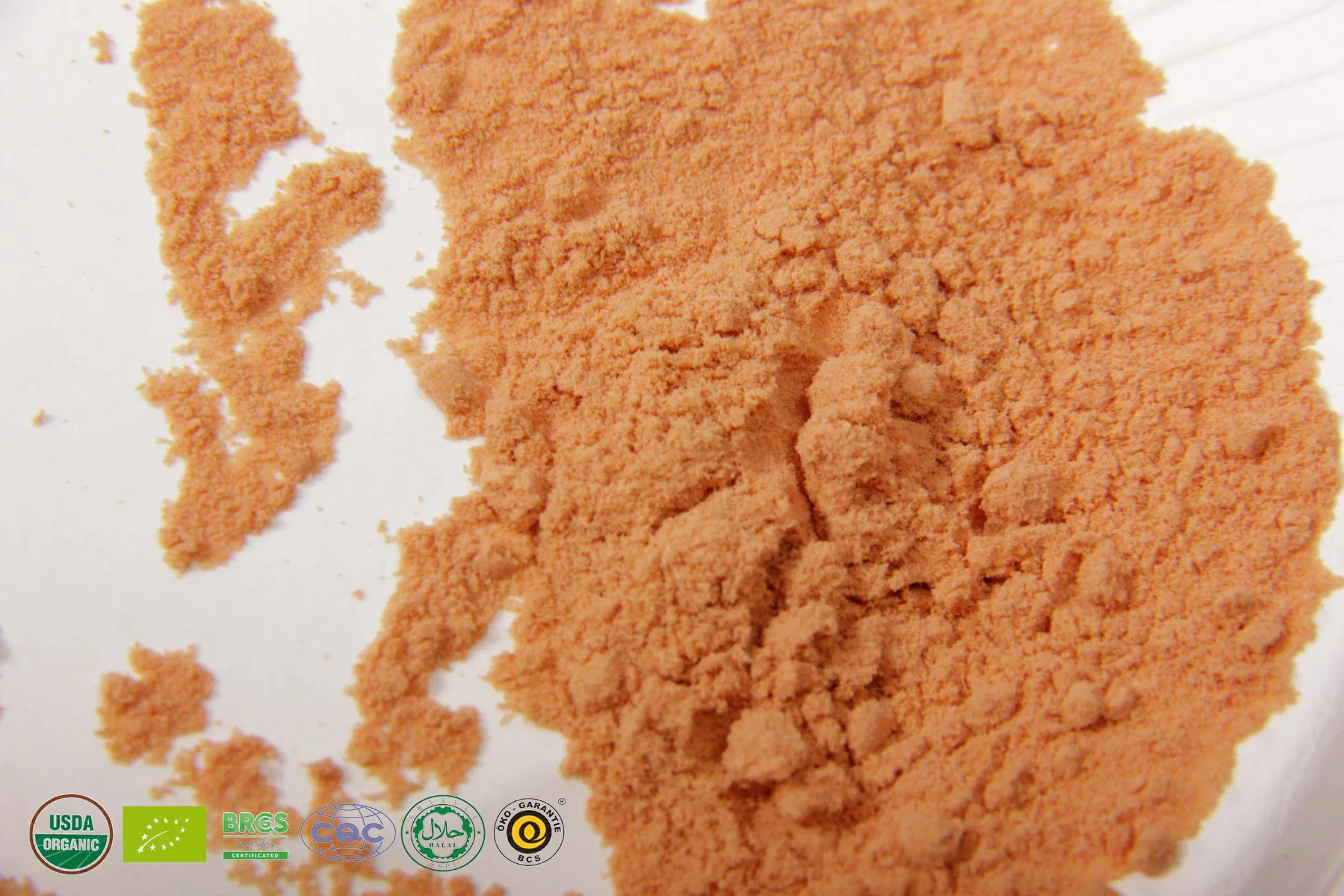 Polysaccharide Goji Berry Powder Natürliches Lycium Barbarum Extrakt