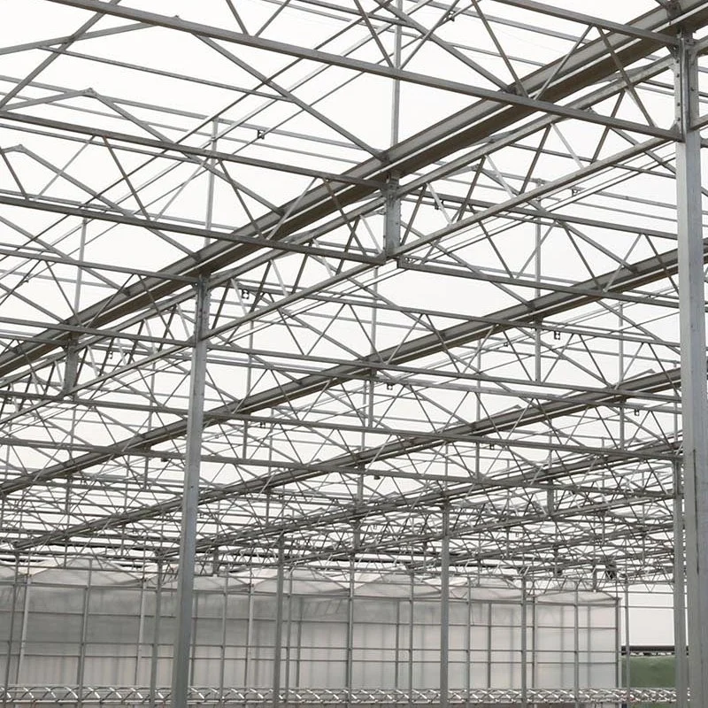 Multi- Span Agriculture Glass Greenhouse for Growing Vegetables