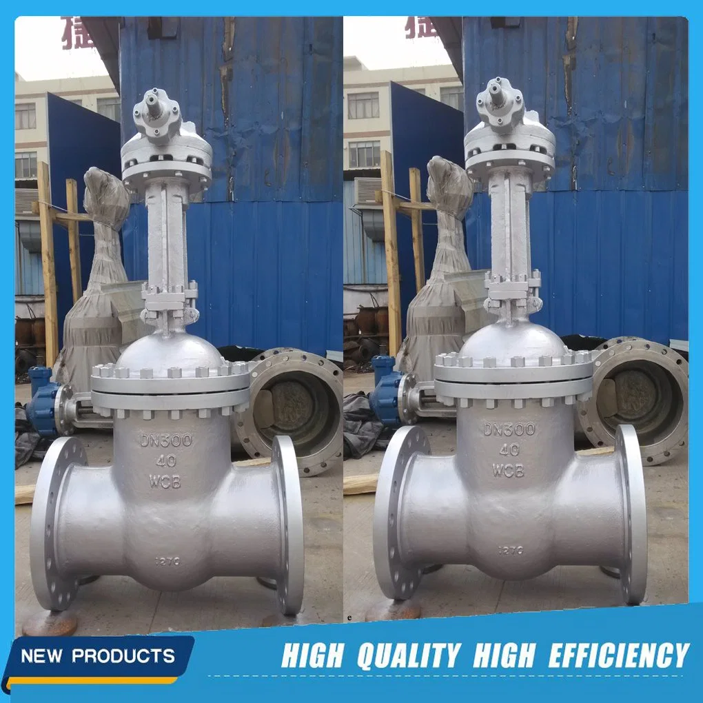 DIN Pn40 Dn250 Gear Operated Gate Valve