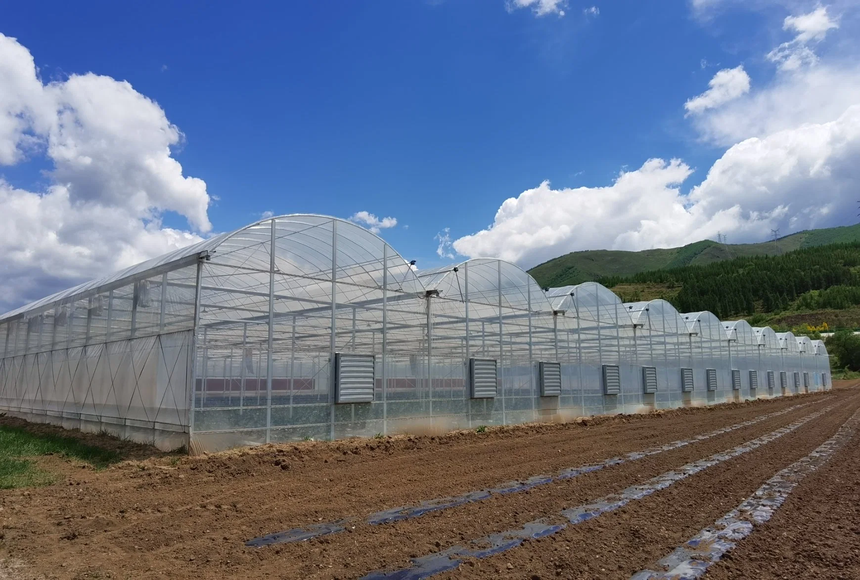 Многопролетная прочная ветроустойчивость Тип Plastic Tunnel Greenhouse