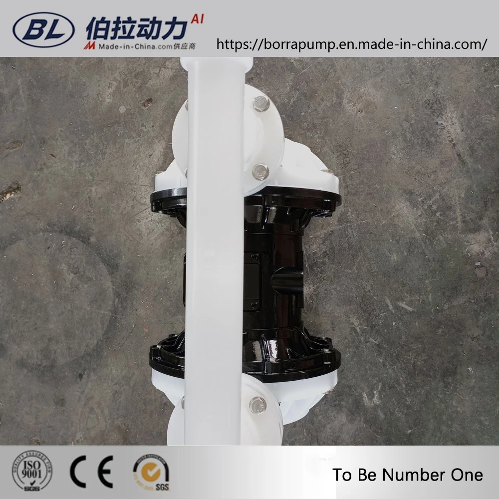 Engineering Plastic Pneumatic Diaphragm Pump