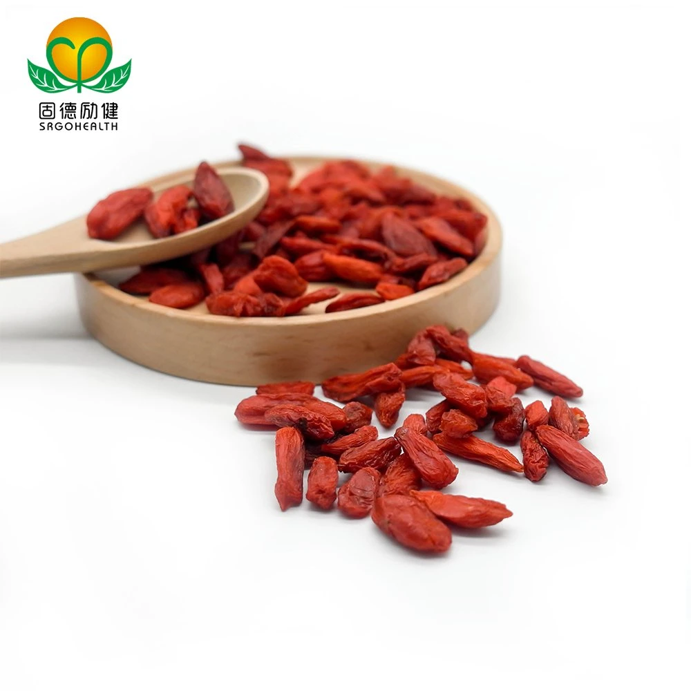 EU Hot Sale Best Quality Conventional Goji Berry