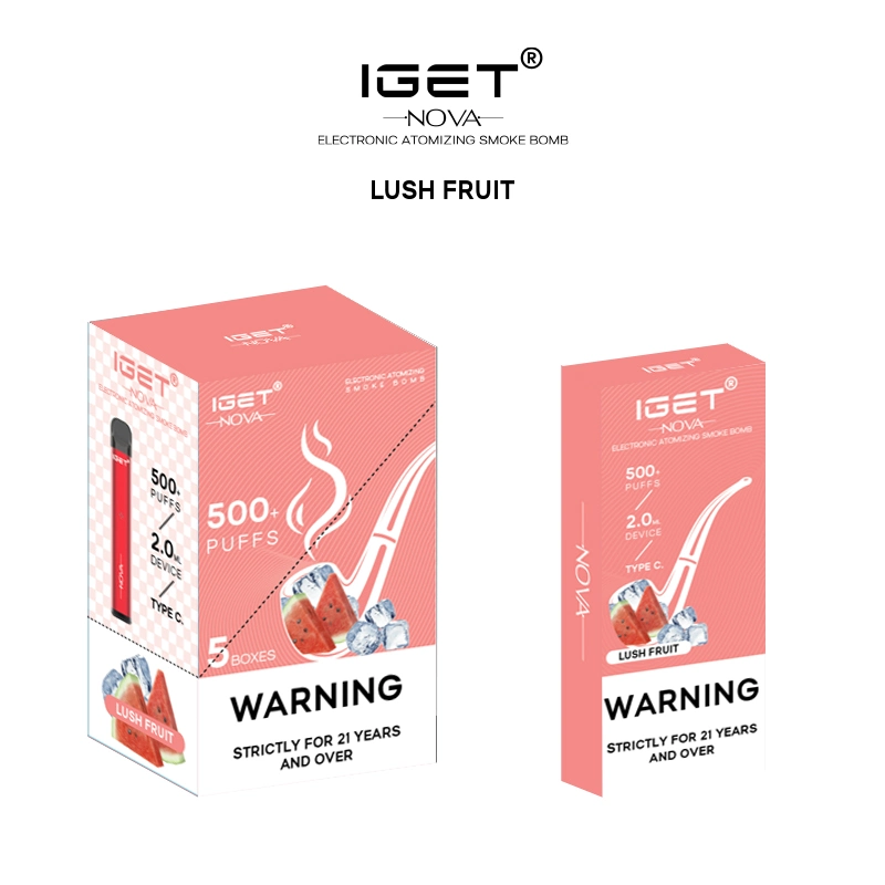 Vape Disposable/Chargeable Iget Nova Pod Kit Fruit Nicotine Electronic Cigarette in The Smoke Bomb 500 Puffs