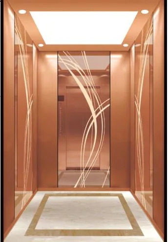 Room-Less Passenger Elevator Lift with High Speed and Low Price Similar