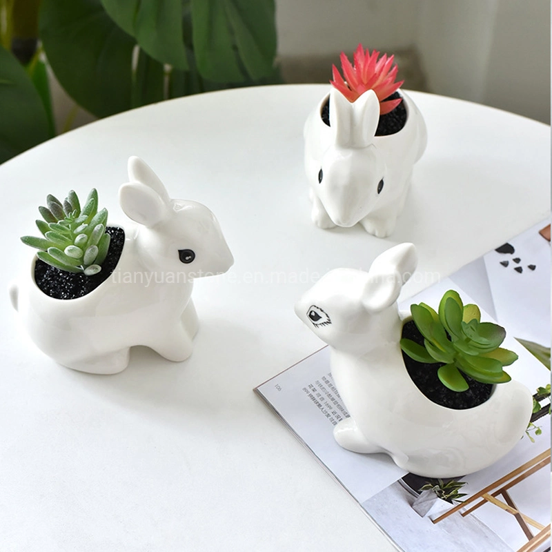 Ceramic Small Animal Succulent Plant Pot for Home/Office