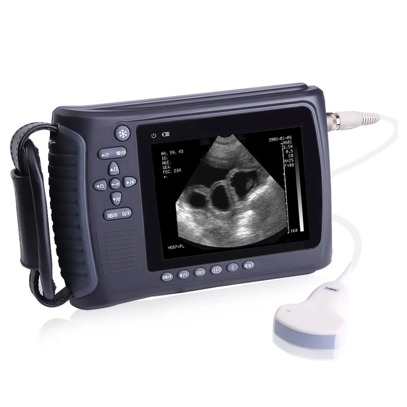 China Full-Digital Portable Farm Veterinary Handheld Ultrasound Scanner Pregnancy