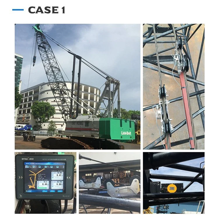 Load Moment Indicator LSI Crane Moment Limiter for Automatic Overload Protection