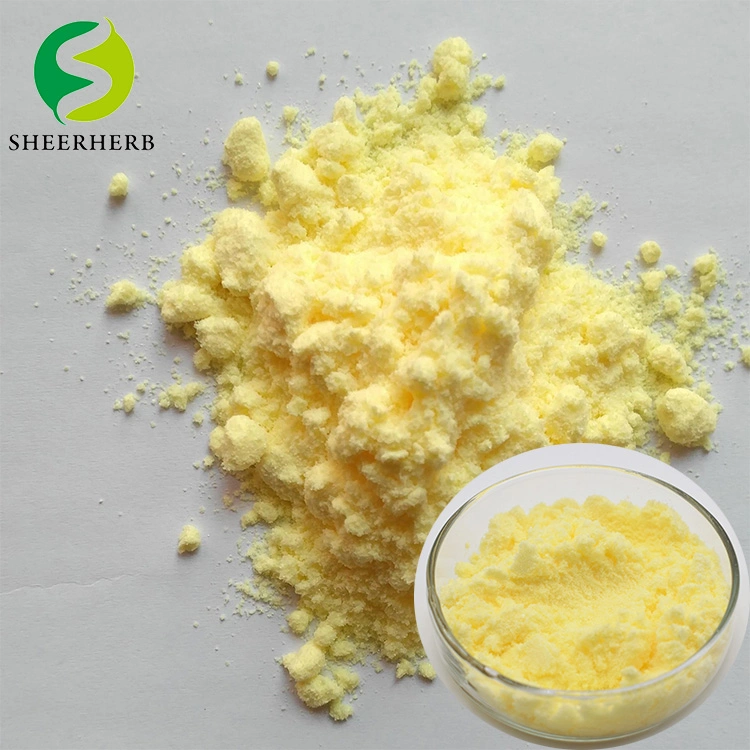 Manufacturer Supply Antioxidant Thioctic Acid Alpha Lipoic Powder OEM