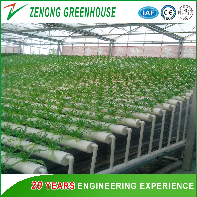 Intelligent Glass Green House for Vegetables Fruits Flowers